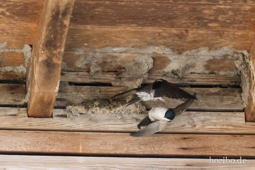 HR-20-05-21-10-49-33-4496