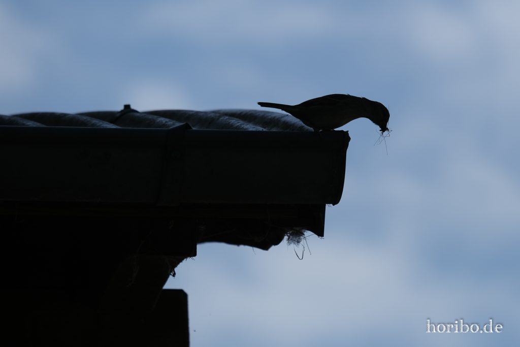 HR-20-05-21-10-53-49-4543