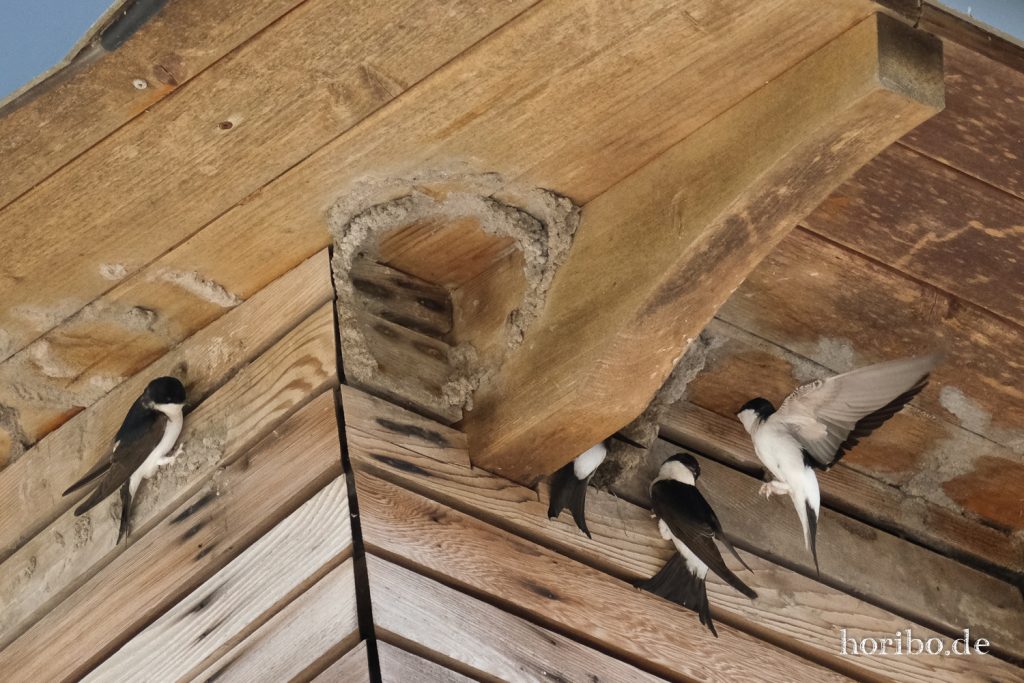 HR-20-05-21-10-57-55-4599