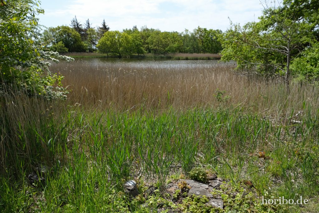 HR-20-05-21-11-06-04-4607