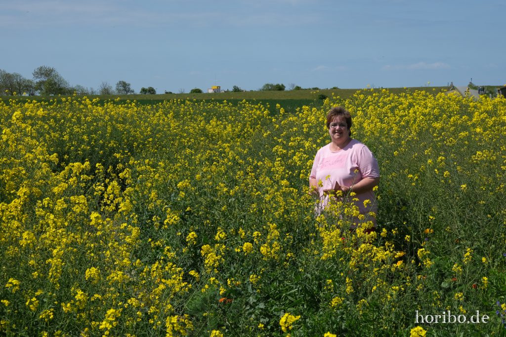 HR-20-05-21-11-23-03-4624