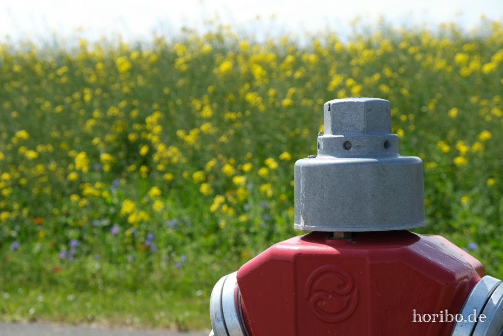 HR-20-05-21-11-26-07-4631