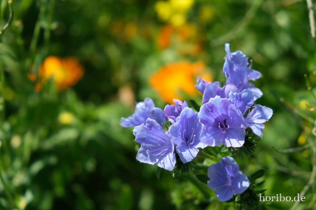 HR-20-05-21-11-30-40-4644