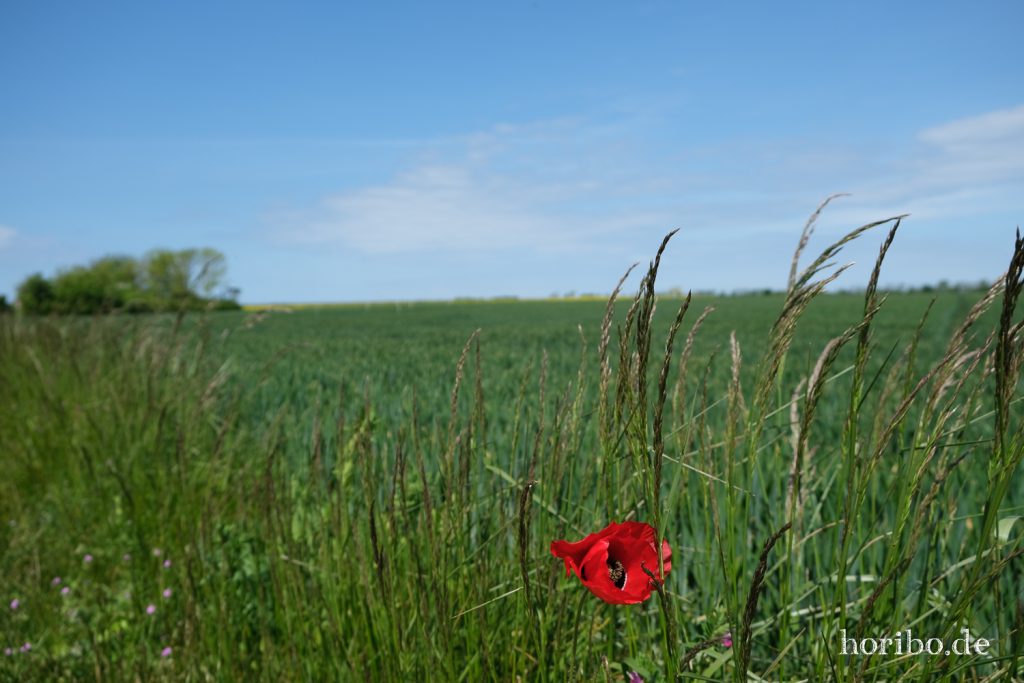 HR-20-05-21-11-40-44-4674