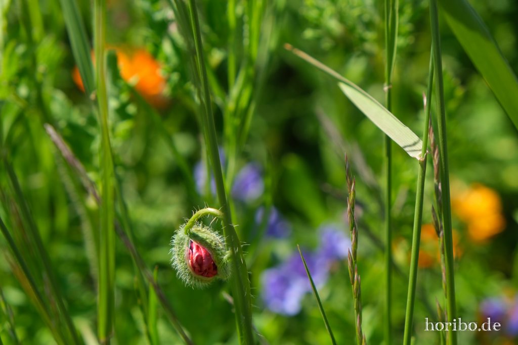 HR-20-05-21-11-45-42-4702