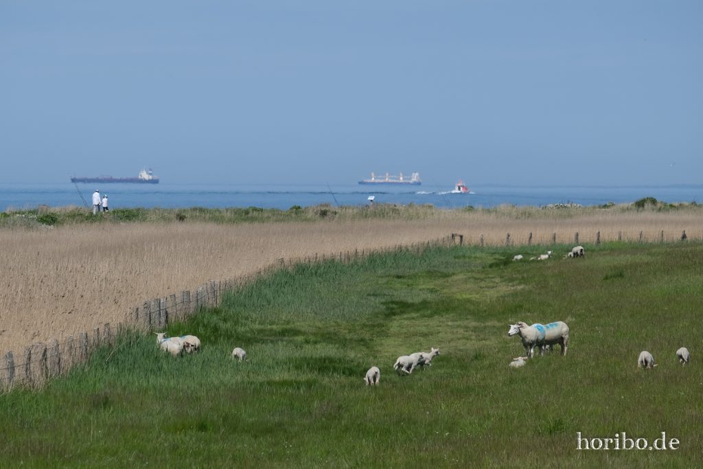 HR-20-05-21-12-51-38-4722