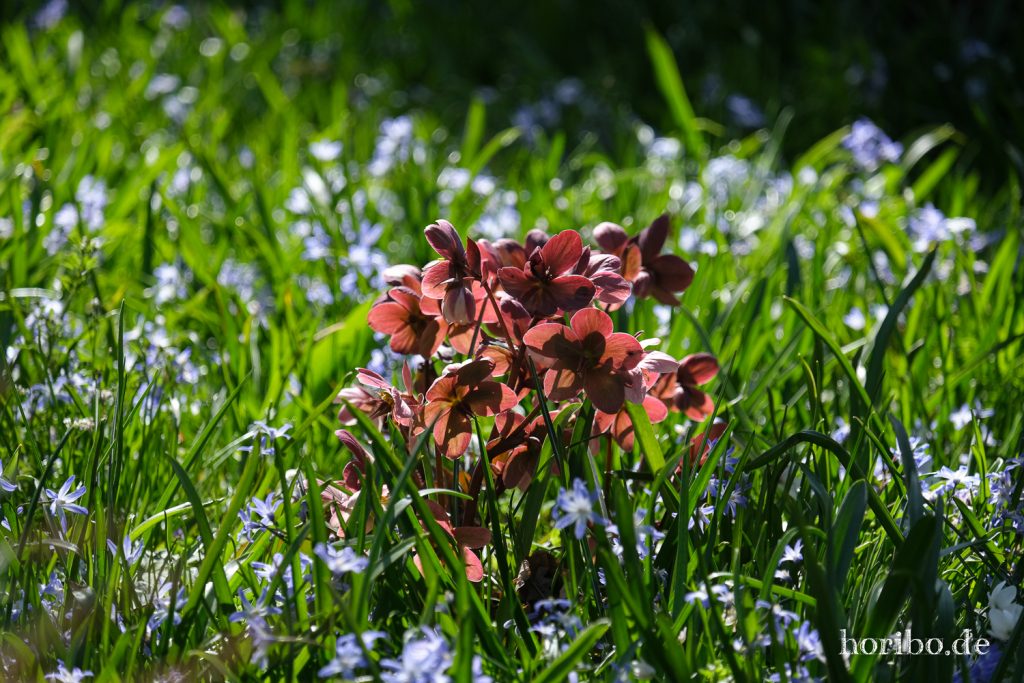 HR-21-04-23-10-30-31-0190