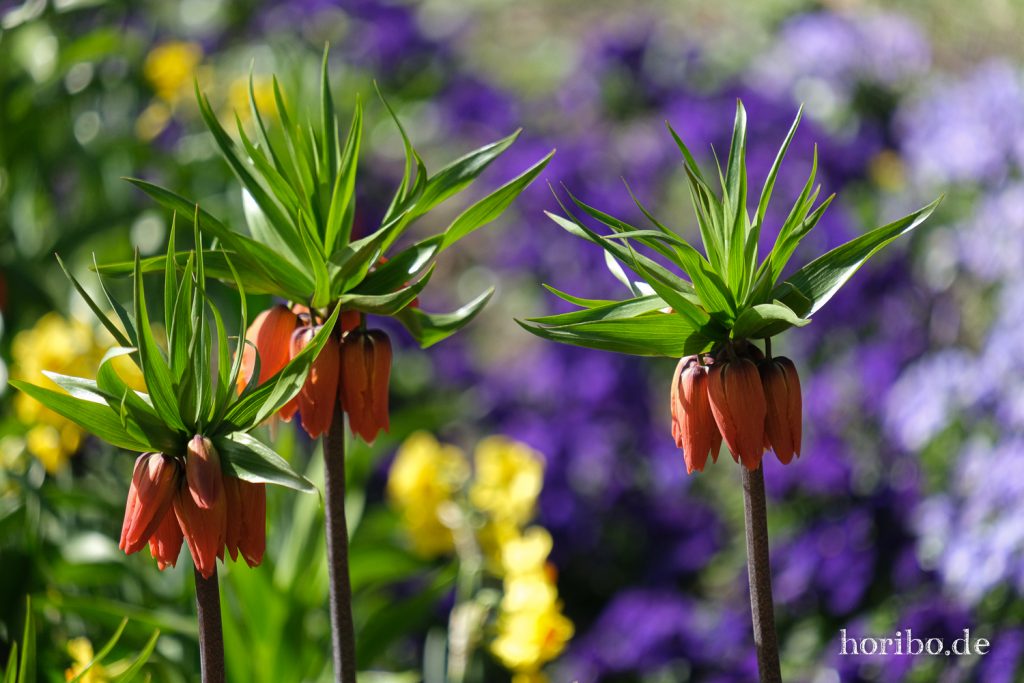 HR-21-04-23-10-31-32-0192