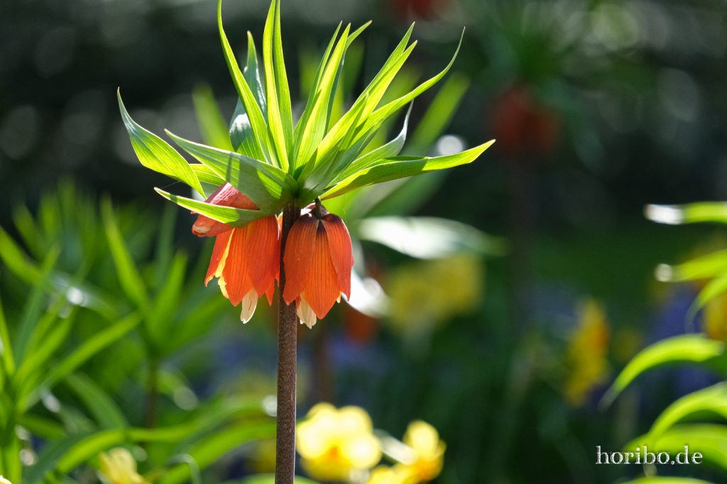 HR-21-04-23-10-32-51-0193