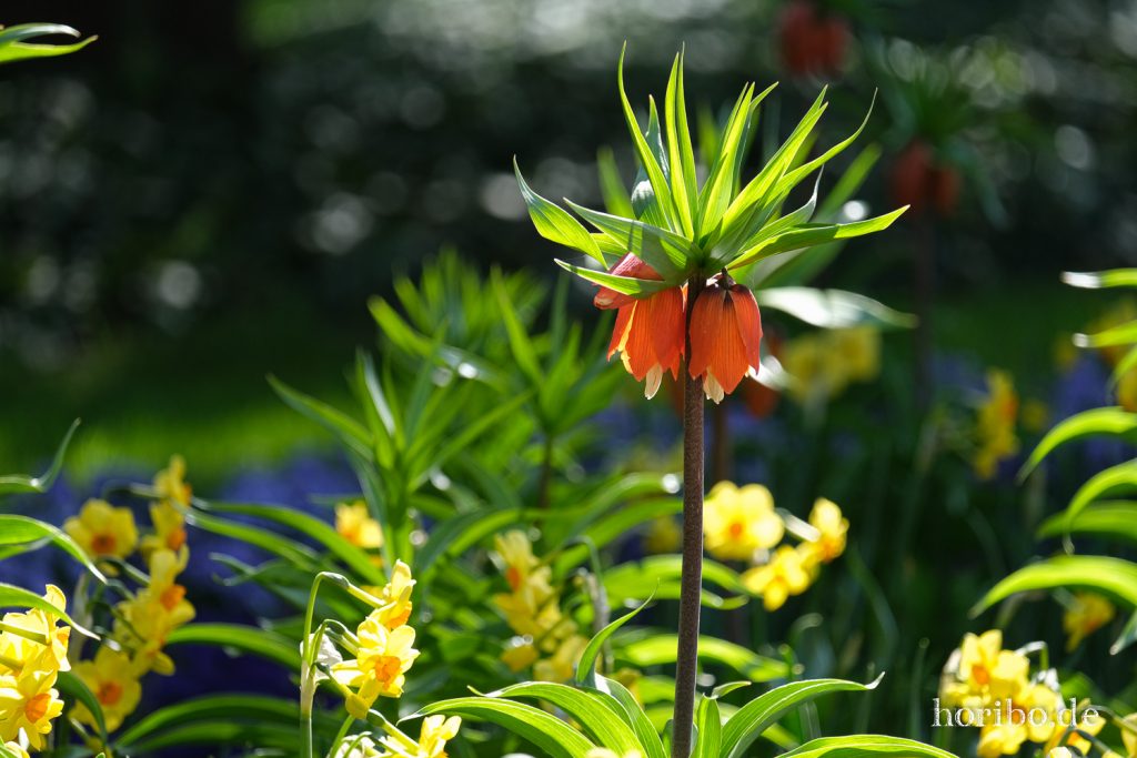 HR-21-04-23-10-33-35-0194