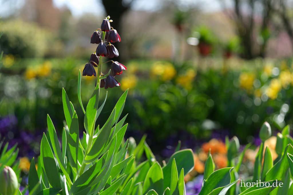 HR-21-04-23-10-35-34-0197