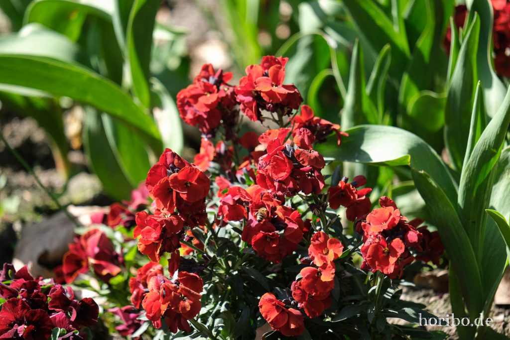 HR-21-04-23-10-38-12-0201