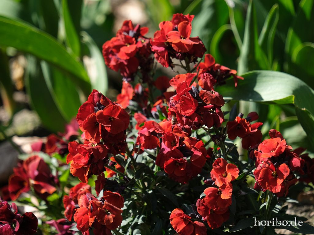 HR-21-04-23-10-38-44-0205