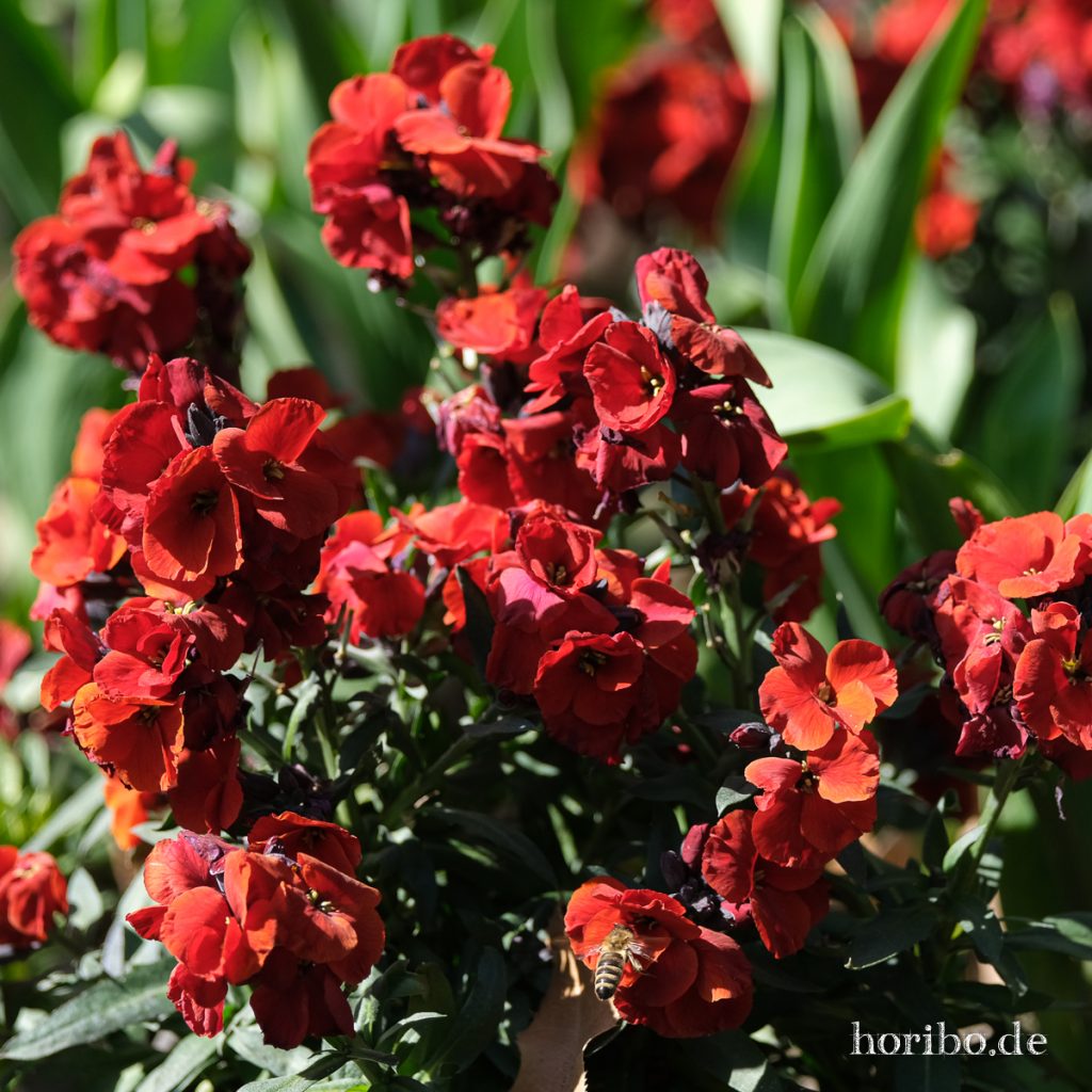 HR-21-04-23-10-41-19-0210