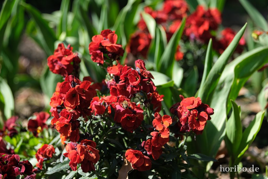 HR-21-04-23-10-41-21-0211