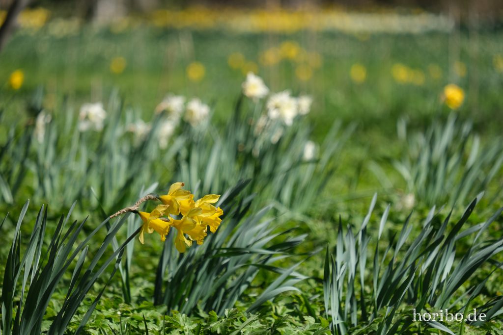 HR-21-04-23-10-44-08-0215