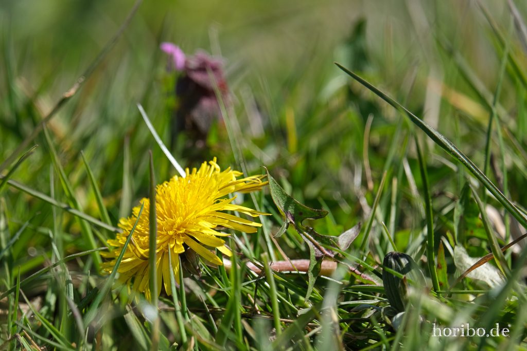 HR-21-04-23-10-49-44-0216