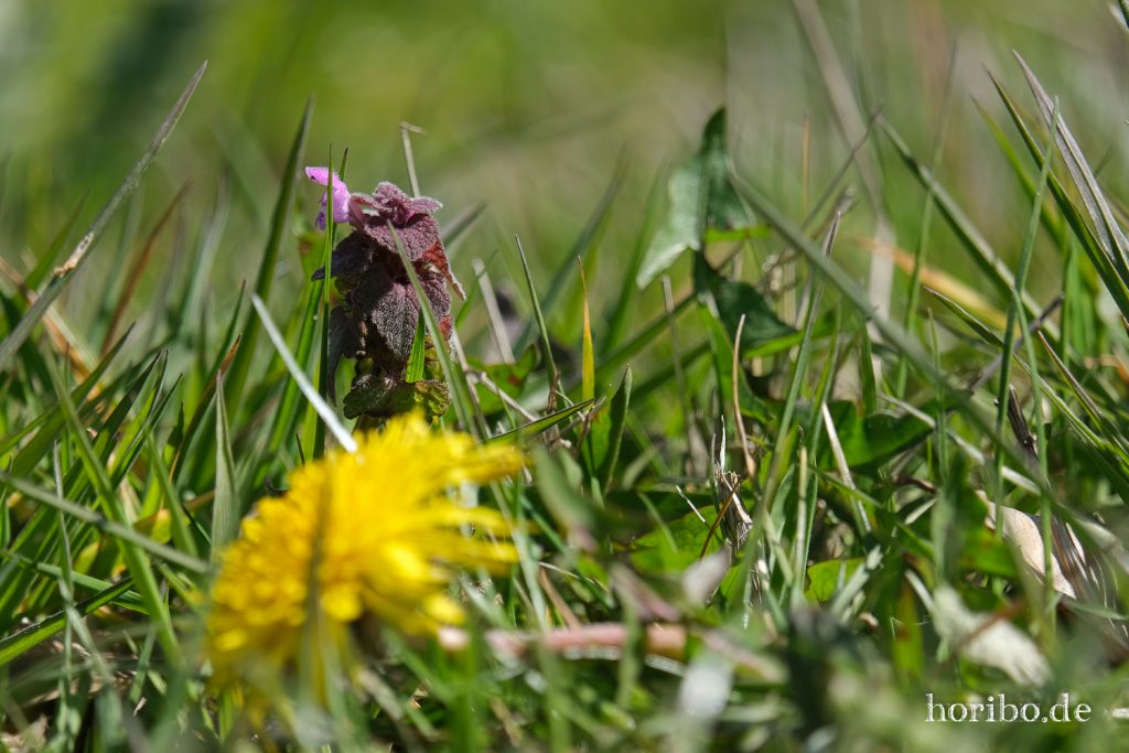 HR-21-04-23-10-49-54-0217