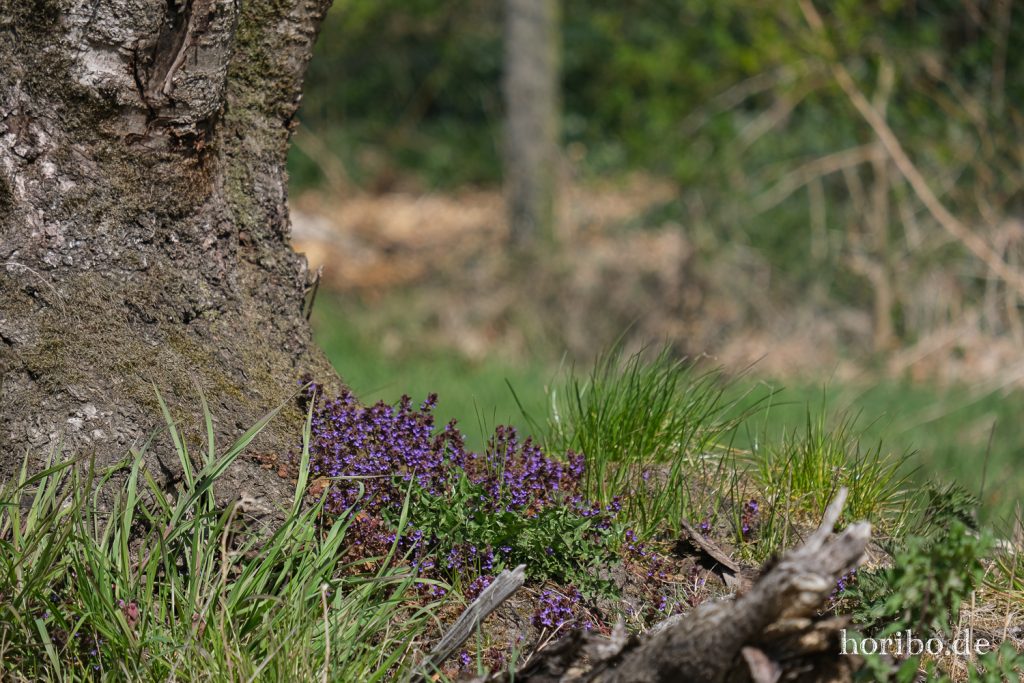 HR-21-04-23-11-01-54-0230