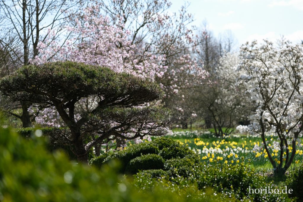 HR-21-04-23-11-09-05-0236