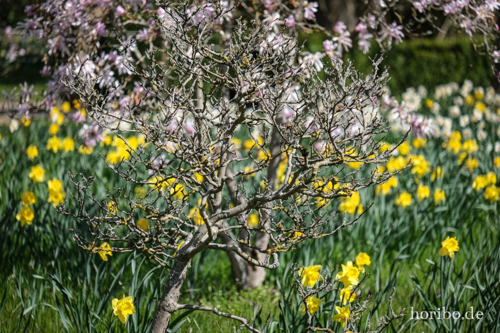 HR-21-04-23-11-12-05-0241