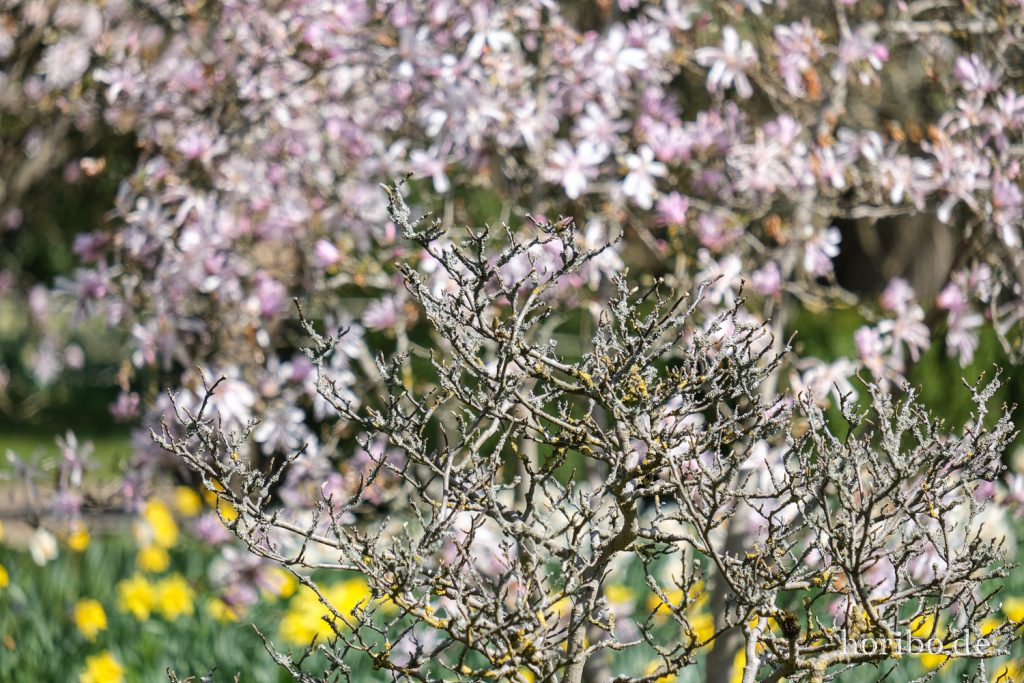 HR-21-04-23-11-12-21-0243