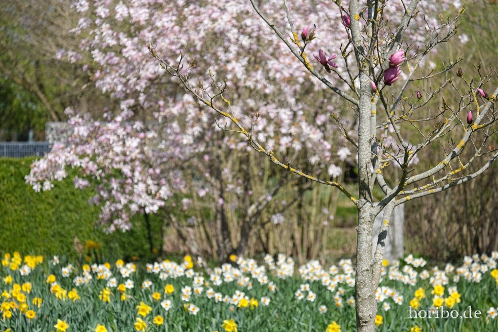 HR-21-04-23-11-13-34-0244