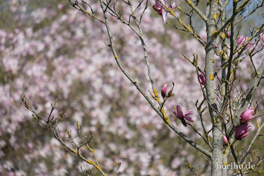 HR-21-04-23-11-14-11-0247