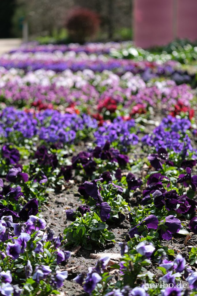 HR-21-04-23-11-15-39-0248