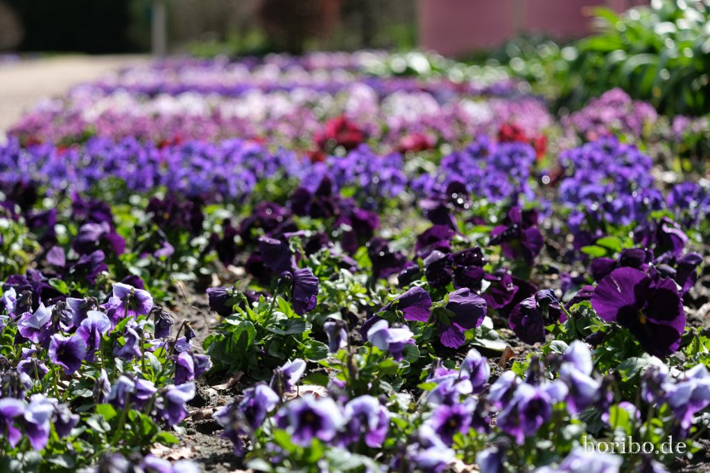 HR-21-04-23-11-16-00-0249