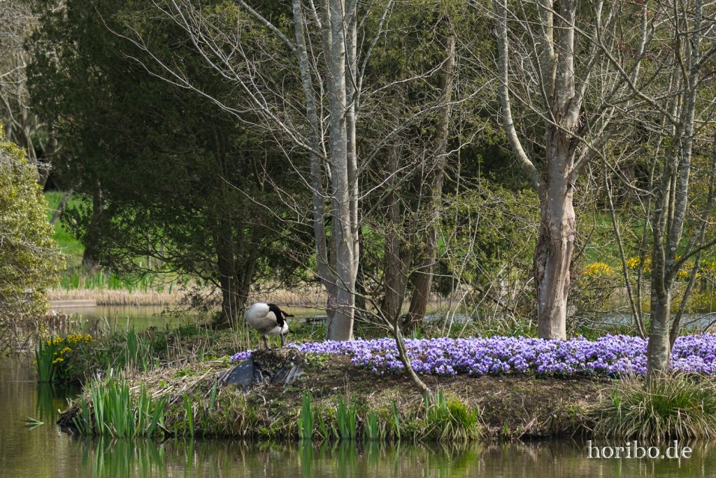 HR-21-04-23-11-18-44-0252