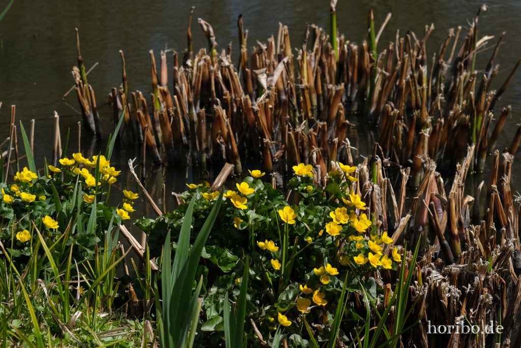 HR-21-04-23-11-20-00-0257