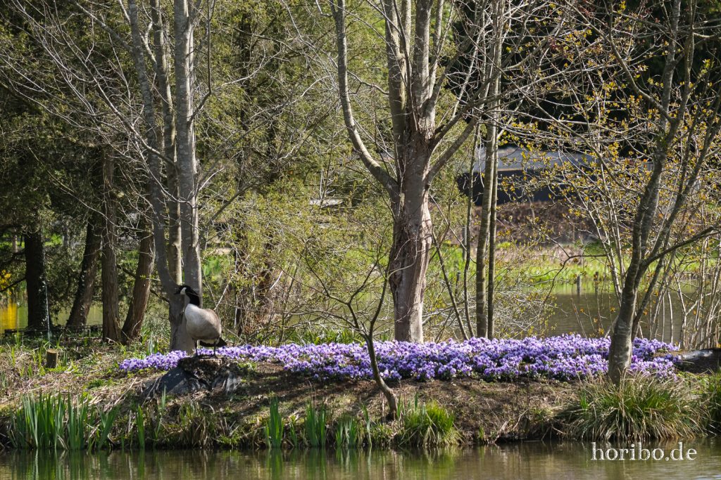 HR-21-04-23-11-20-50-0262