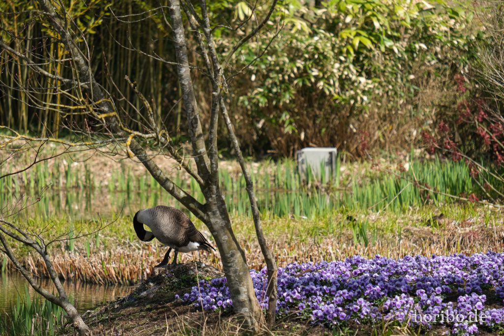 HR-21-04-23-11-23-30-0263