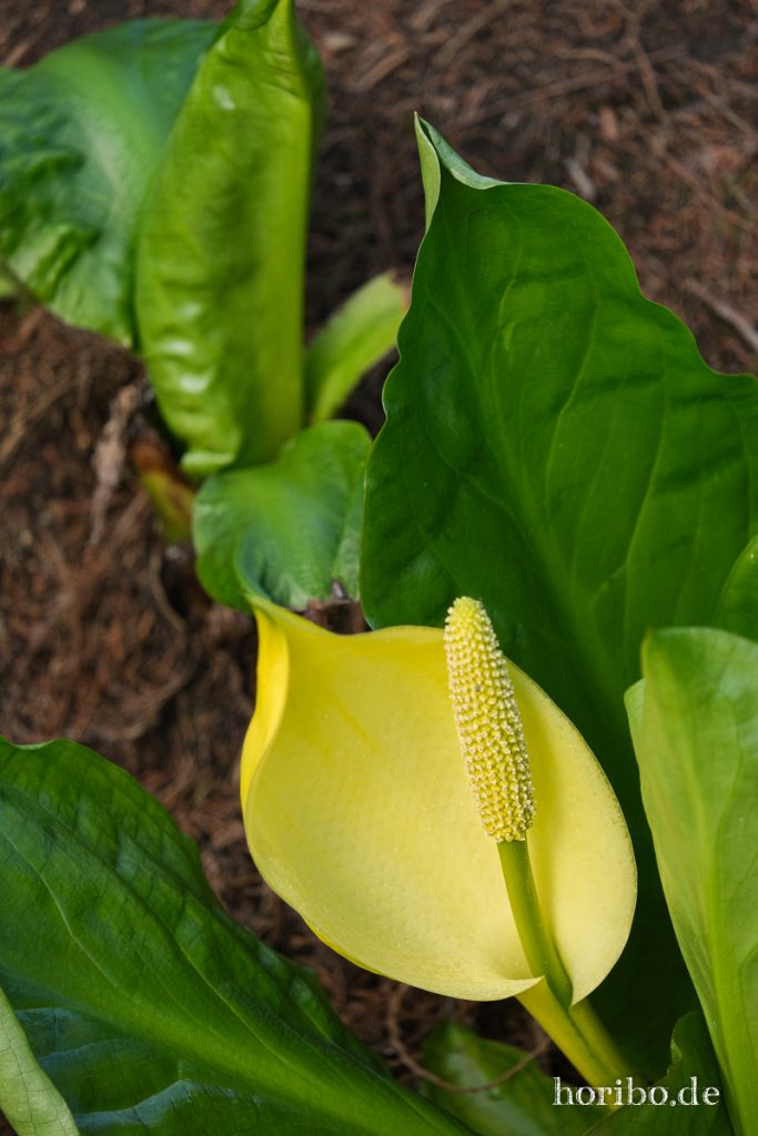 HR-21-04-23-11-24-48-0268