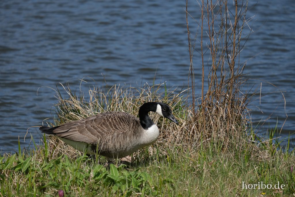 HR-21-04-23-11-26-54-0272