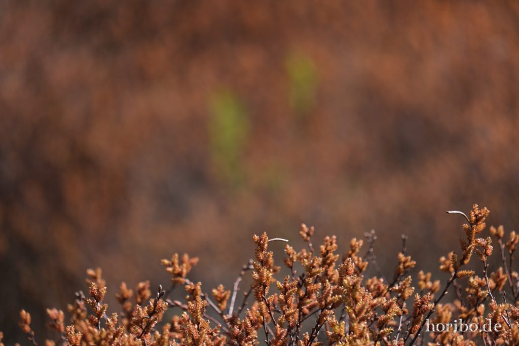 HR-21-04-23-11-28-41-0277