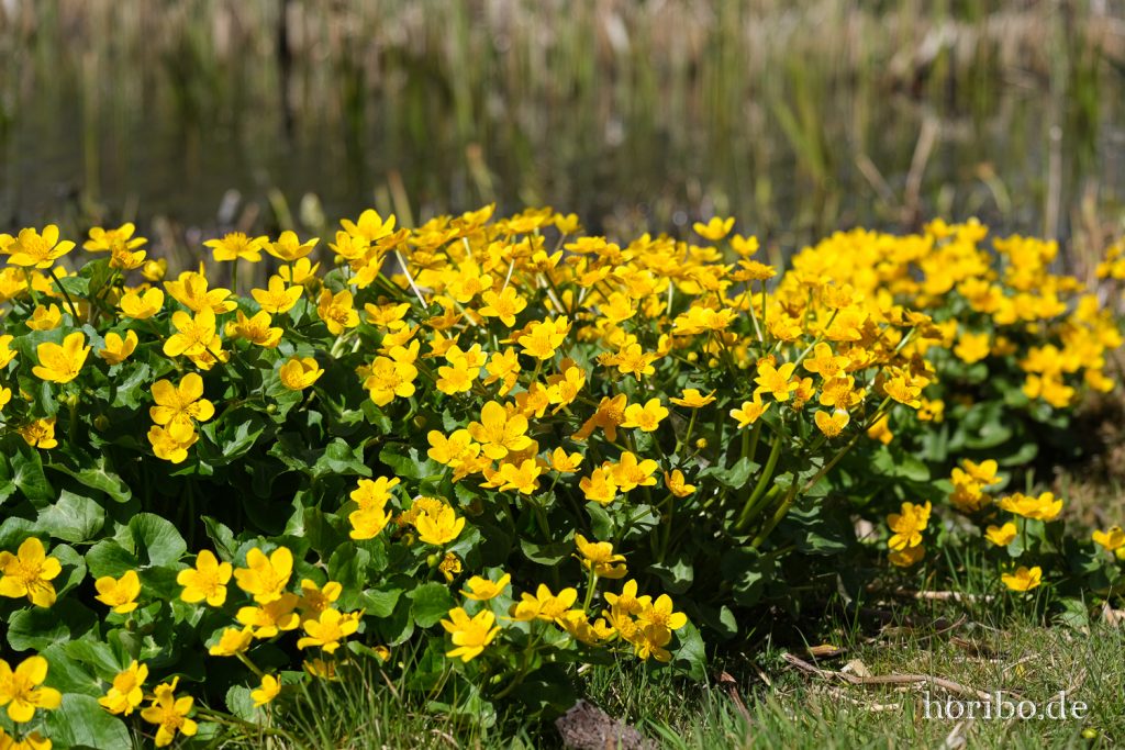 HR-21-04-23-11-31-24-0279