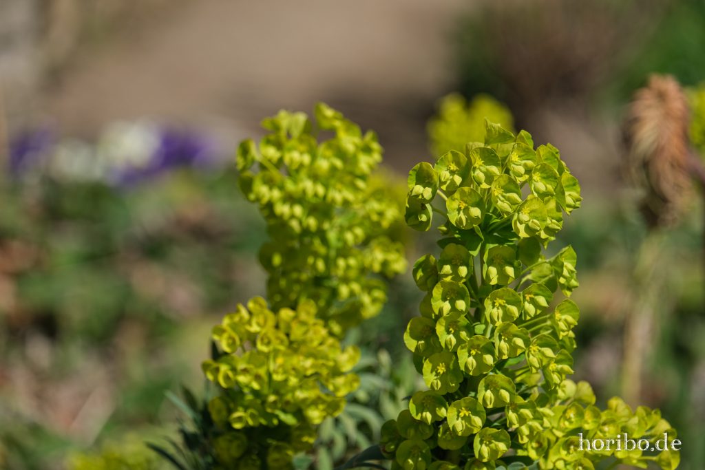 HR-21-04-23-11-33-06-0280