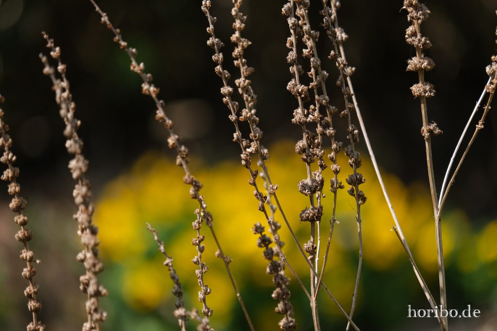 HR-21-04-23-11-36-52-0292