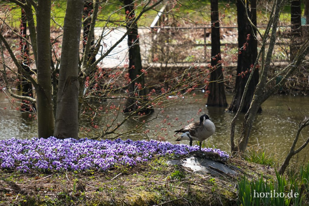 HR-21-04-23-11-38-20-0295