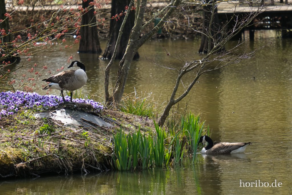 HR-21-04-23-11-38-44-0302