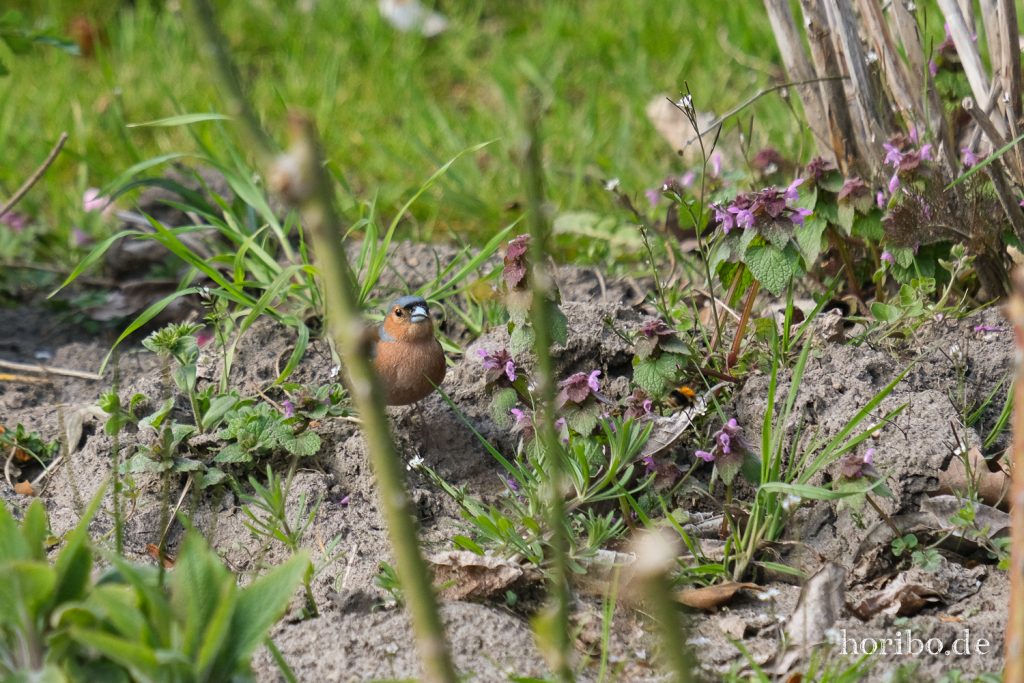 HR-21-04-23-11-42-10-0309