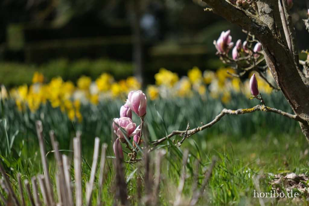 HR-21-04-23-11-42-45-0313