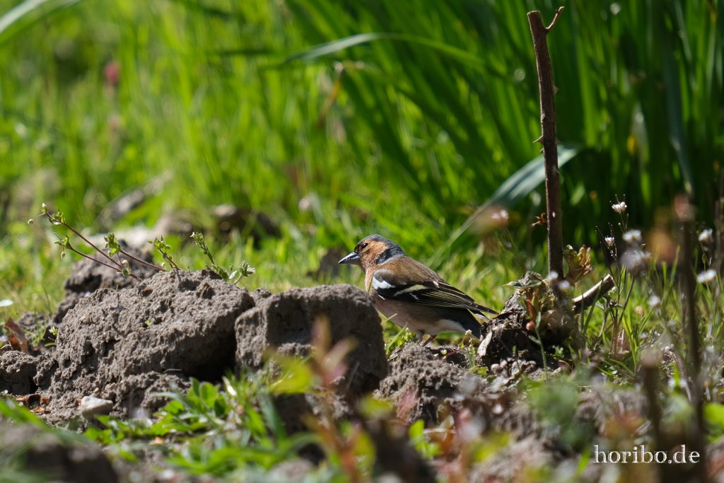 HR-21-04-23-11-42-56-0315