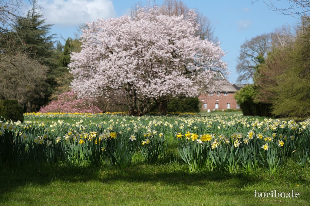 HR-21-04-23-11-44-06-0323