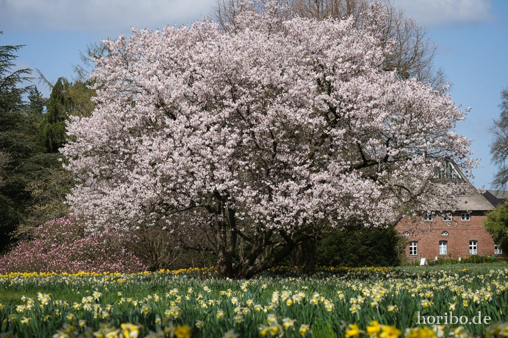 HR-21-04-23-11-45-59-0331