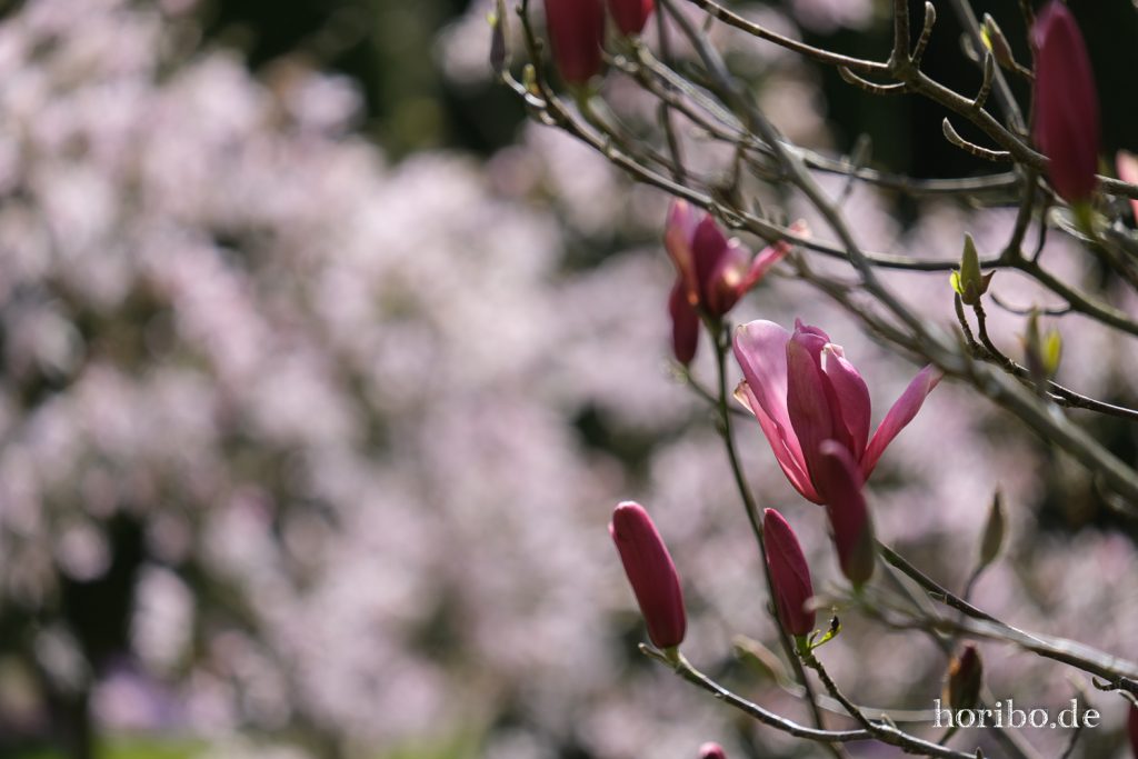 HR-21-04-23-11-48-16-0333