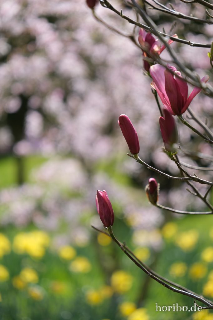 HR-21-04-23-11-48-41-0335