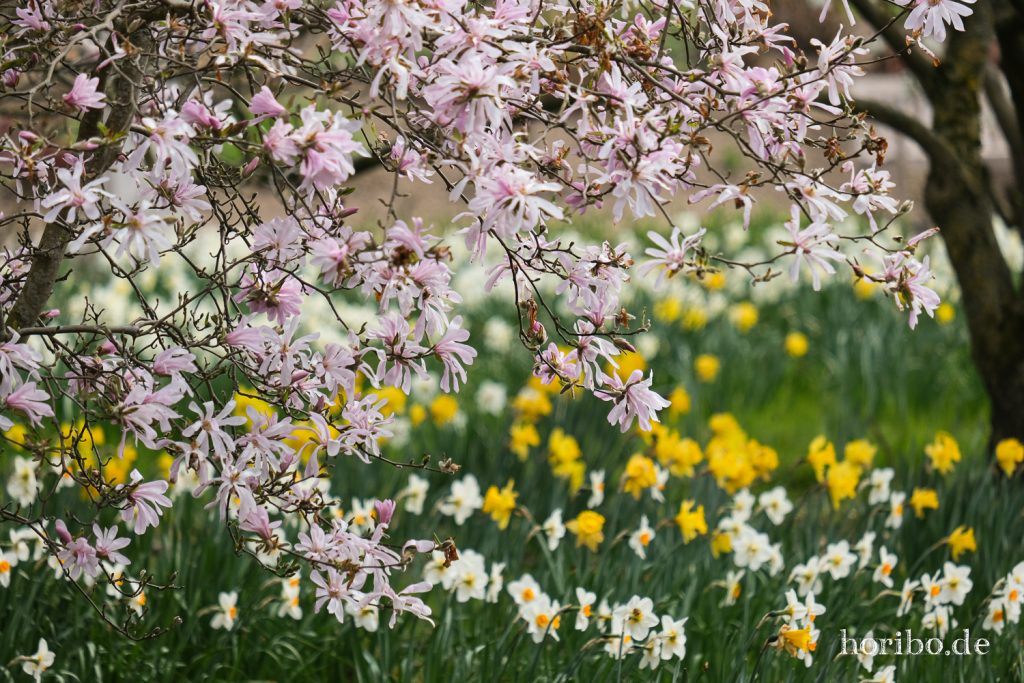 HR-21-04-23-11-49-11-0337